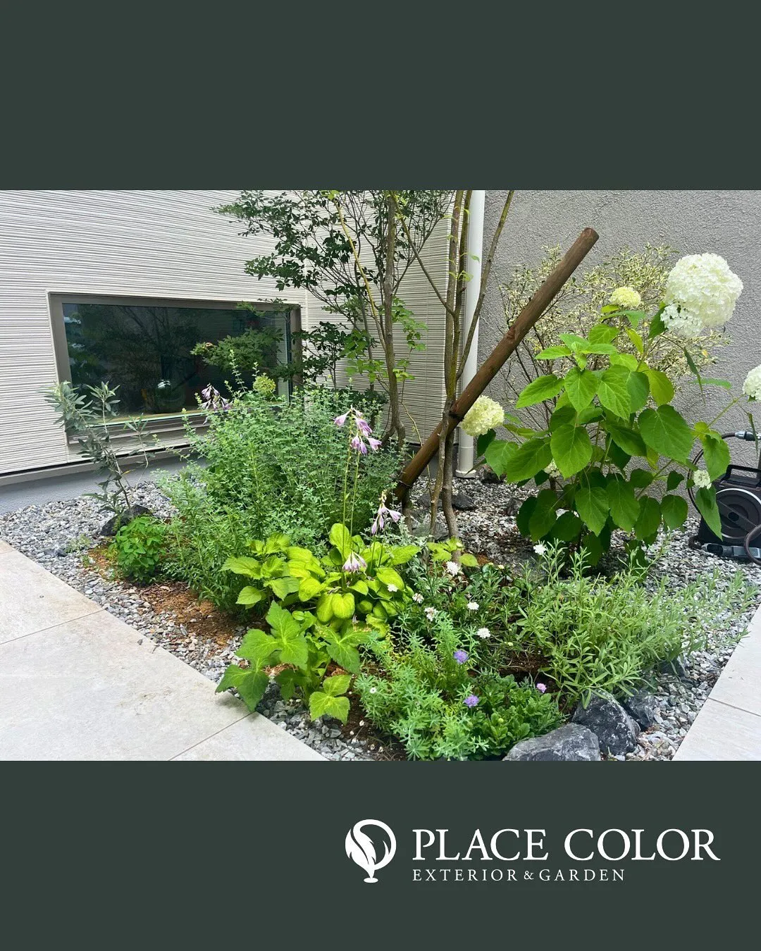 中庭のご紹介🌿