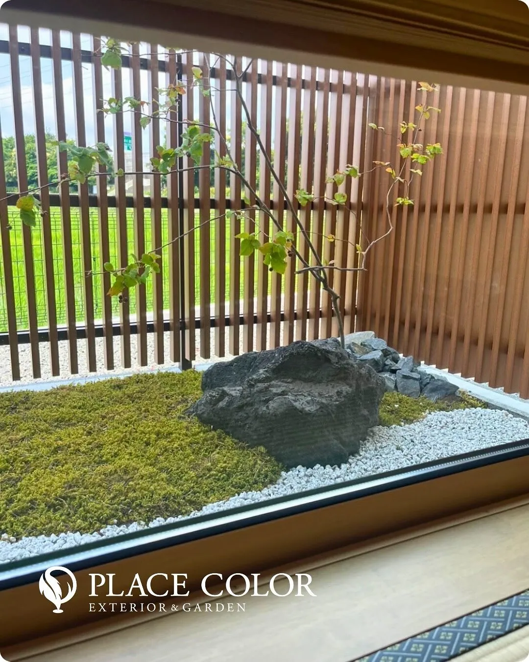 坪庭のご紹介🌿