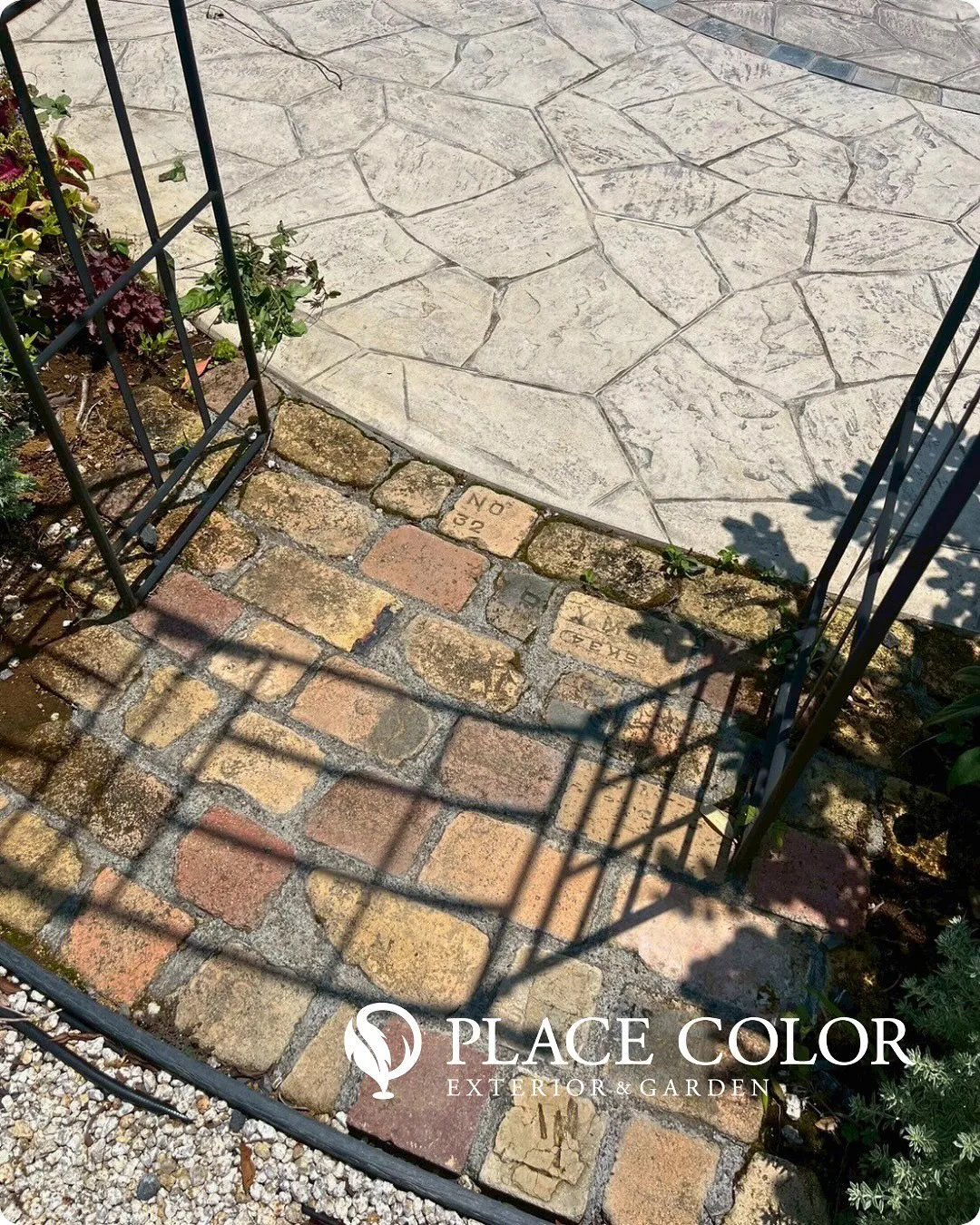 アイアンゲートのご紹介🌿