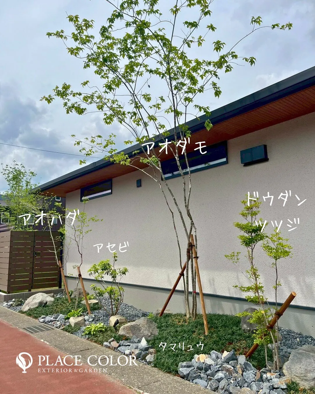 🌿四季を彩る植栽で、和モダンな外構に。