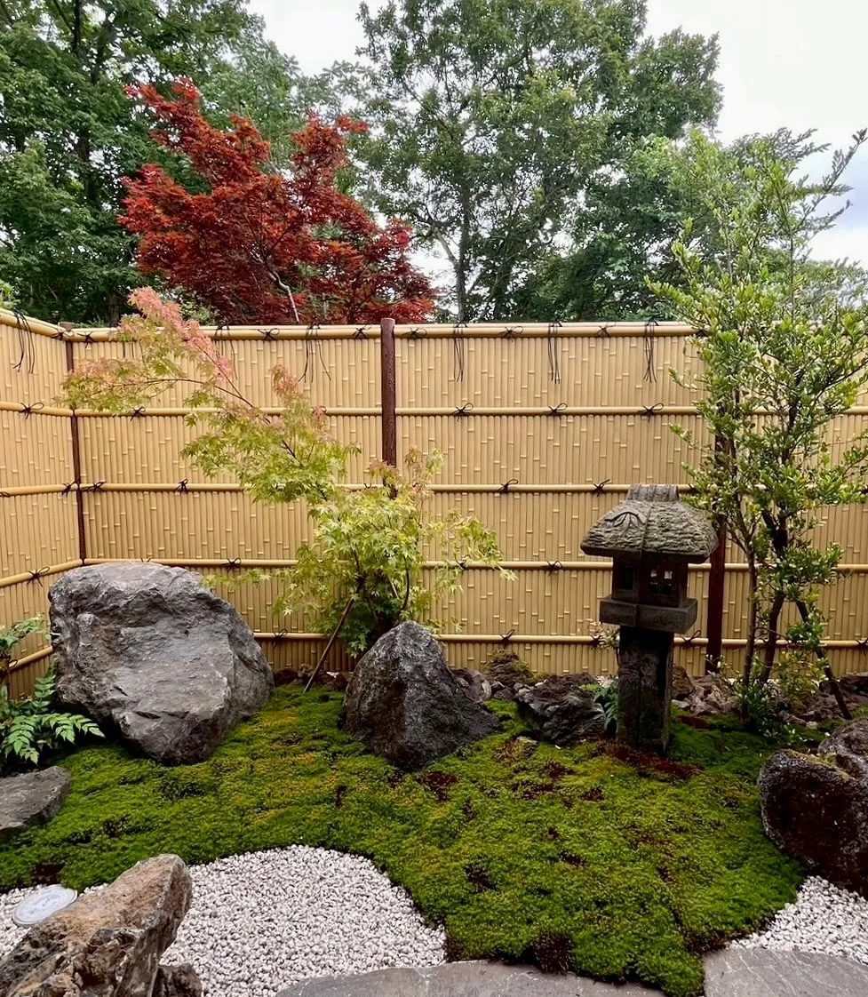 石灯籠と苔の緑が織りなす和の趣に、竹垣がやさしく調和🏯