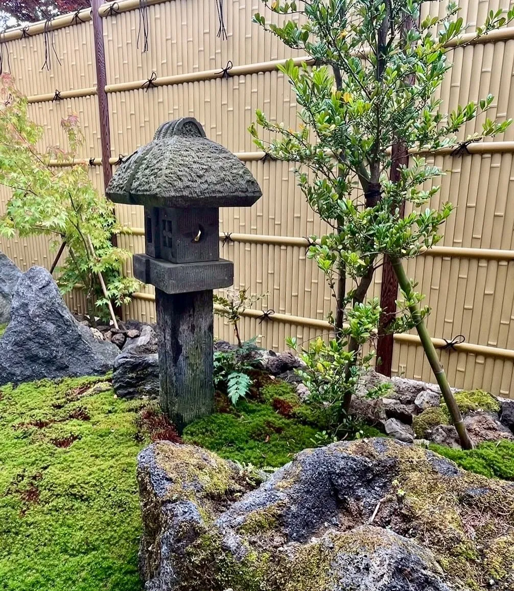 石灯籠と苔の緑が織りなす和の趣に、竹垣がやさしく調和🏯