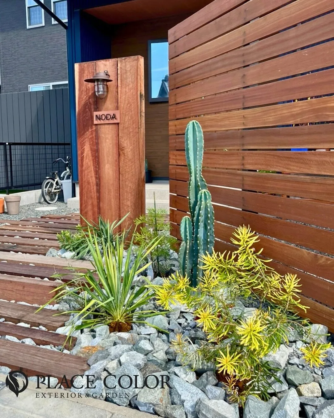 ドライガーデンのご紹介🌵