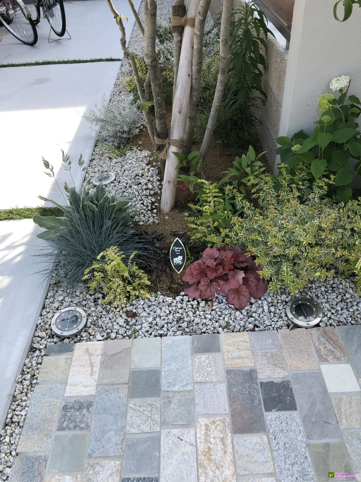 彩りあふれる下草