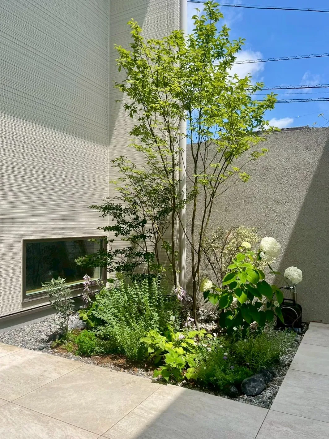 地窓からの景色も考慮しました