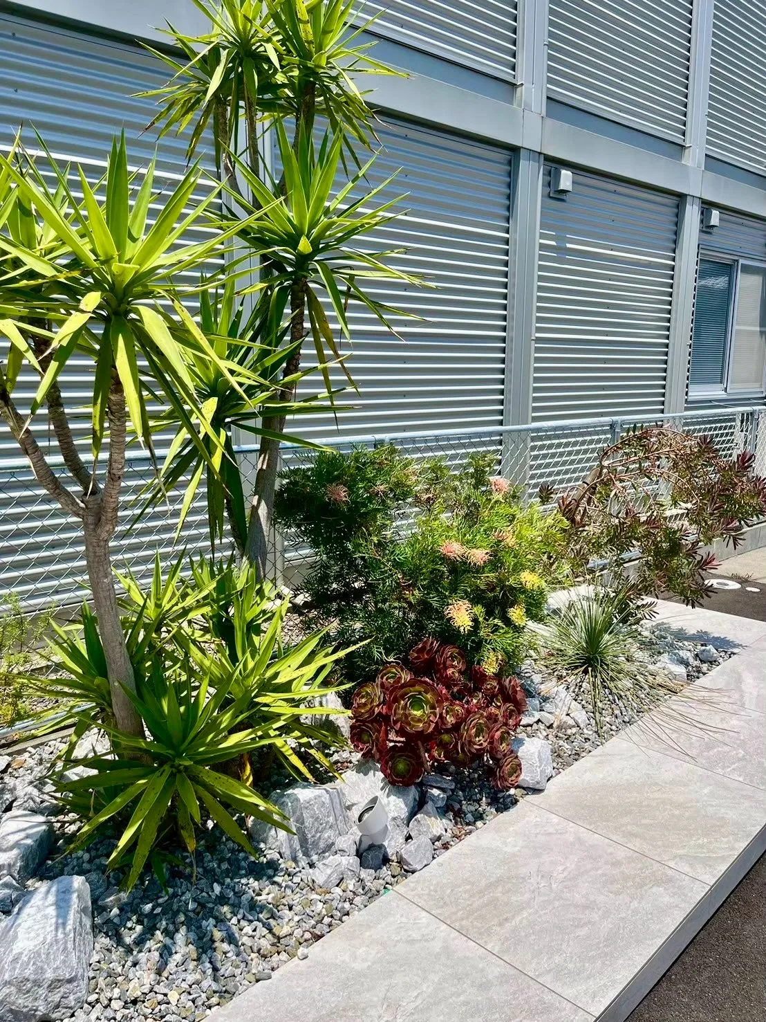 リゾート感を演出する植栽