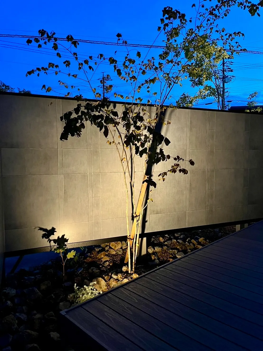 ライトアップに映える、幻想的で落ち着いた庭の景色