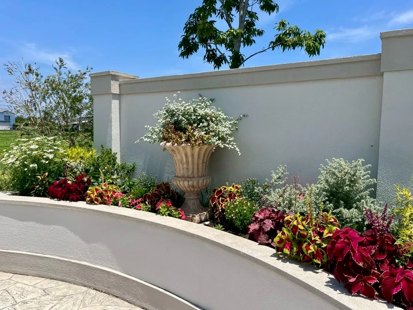 白壁と花壇の彩りが映える、華やかで上品なガーデンスペース