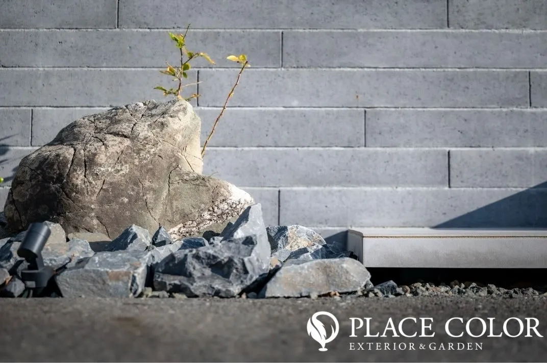 静と動のバランスを楽しむ和の庭🍂 